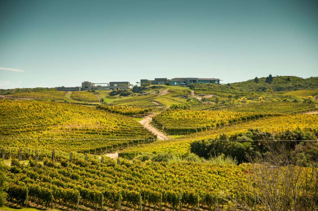 vineyard best places to visit